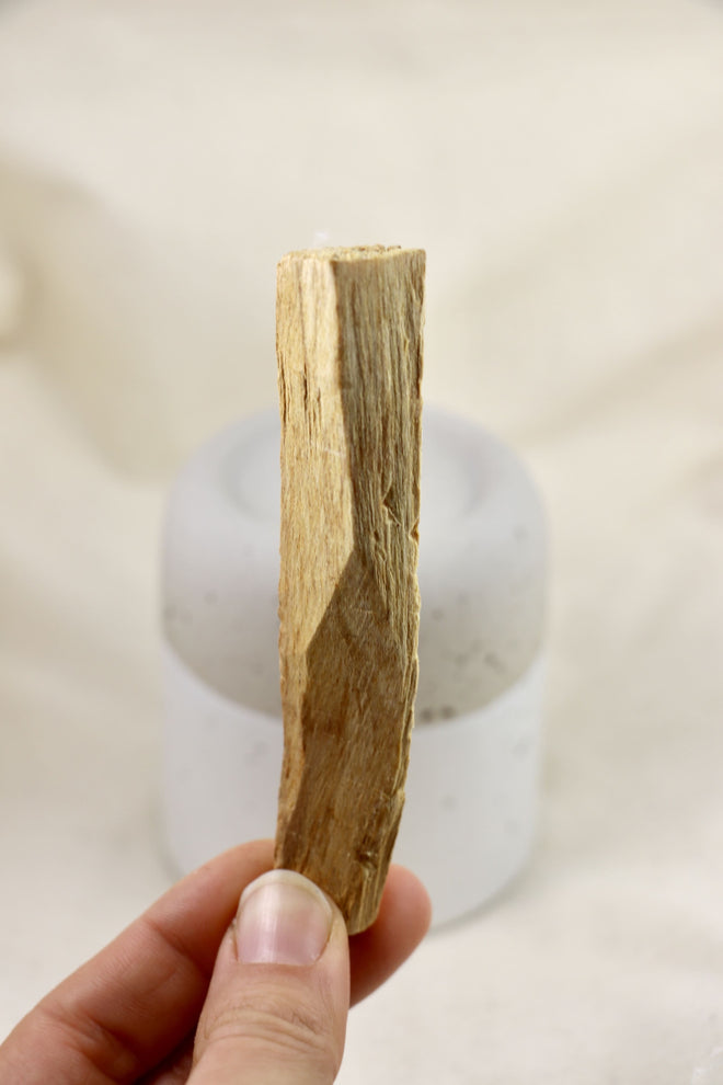 🎁 Palo Santo Räucherstick (100% off)